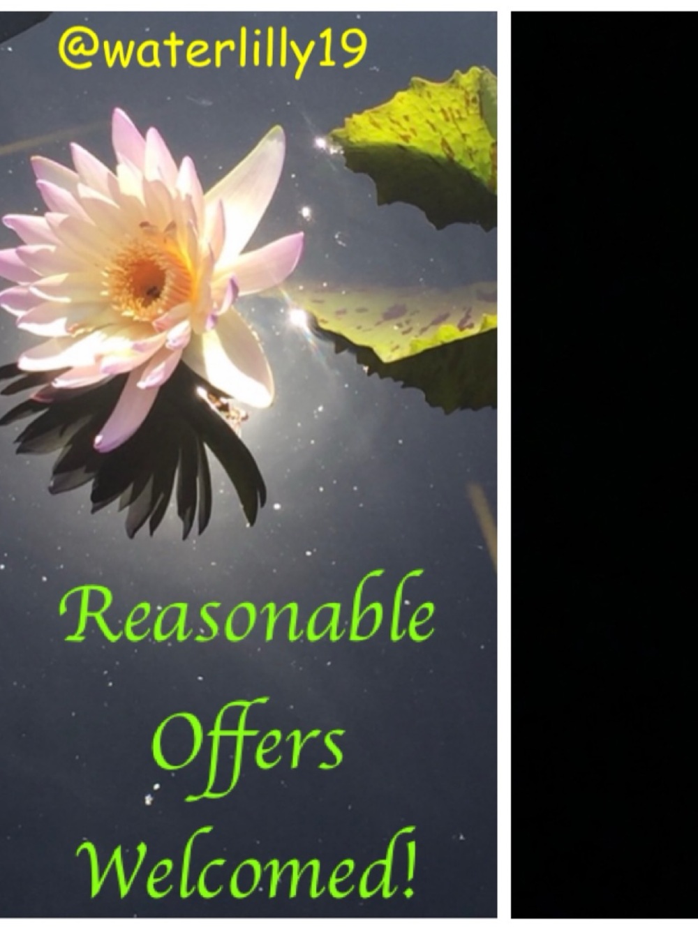 Make a reasonable offer!